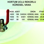 HORTUM UCLU REKORLU KÜRESEL VANA